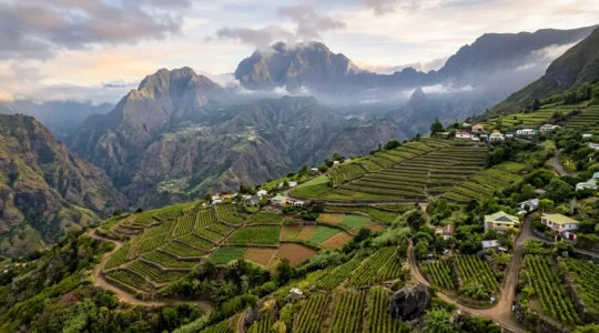 Vue panoramique des vignobles en terrasses de Cilaos avec le Piton des Neiges en arrière-plan