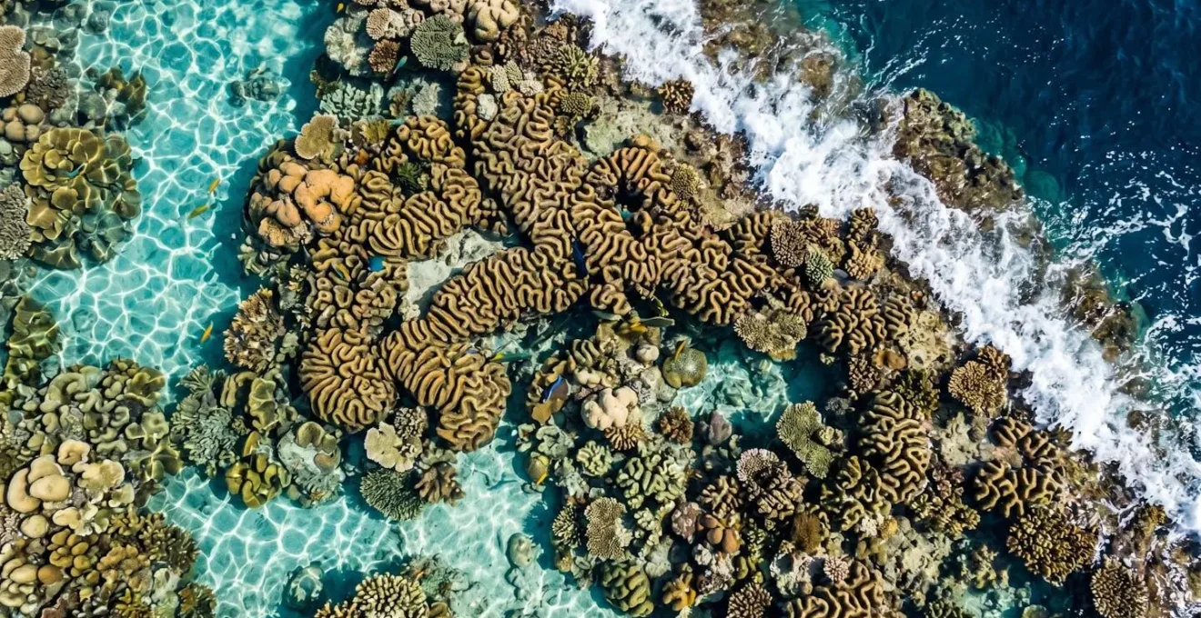 Vue aérienne du lagon et de la barrière de corail protégeant Saint-Leu